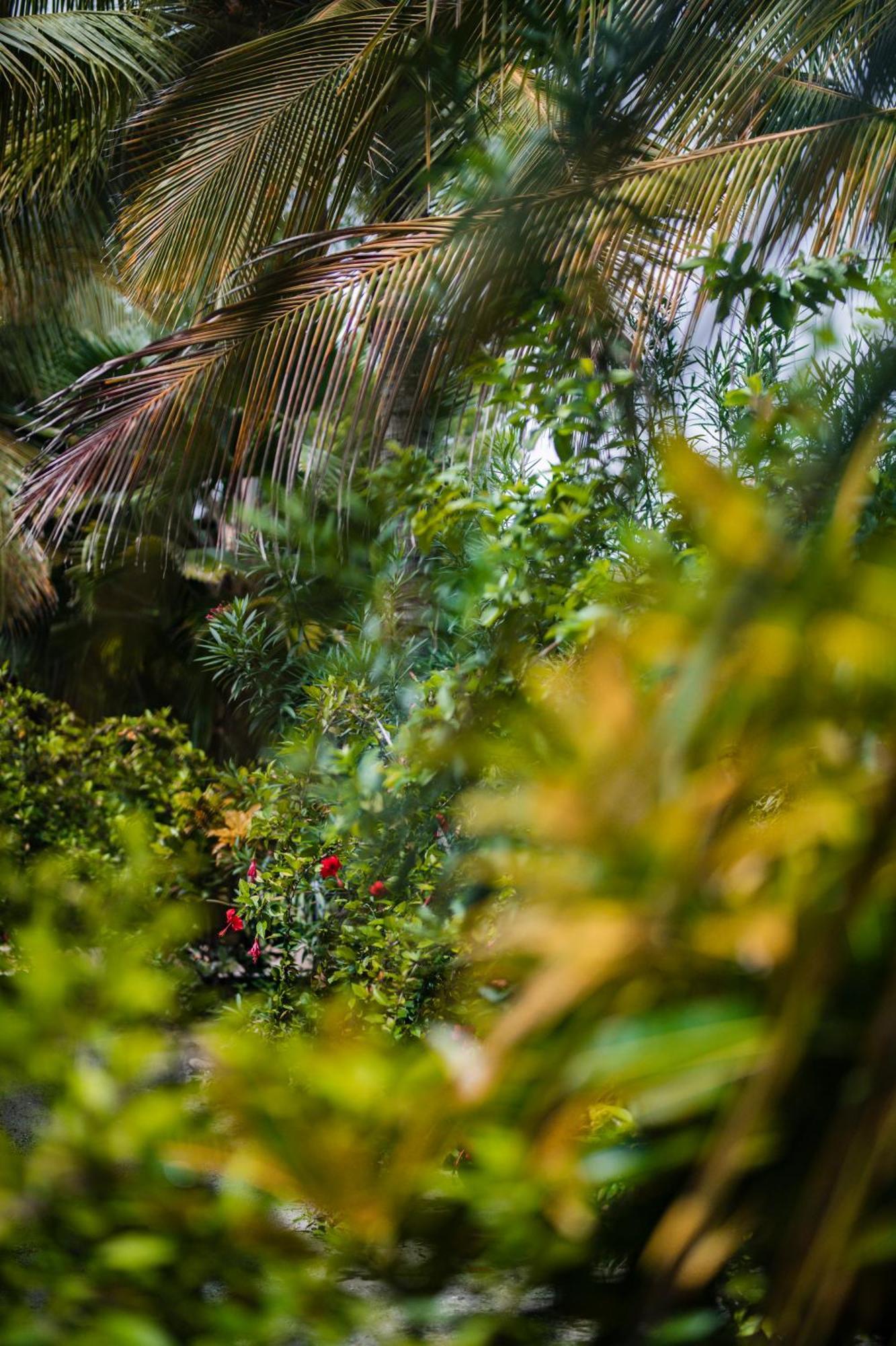 Resort White Paradise Zanzibar 4*