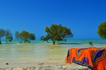 White Paradise Zanzibar Resort Pongwe